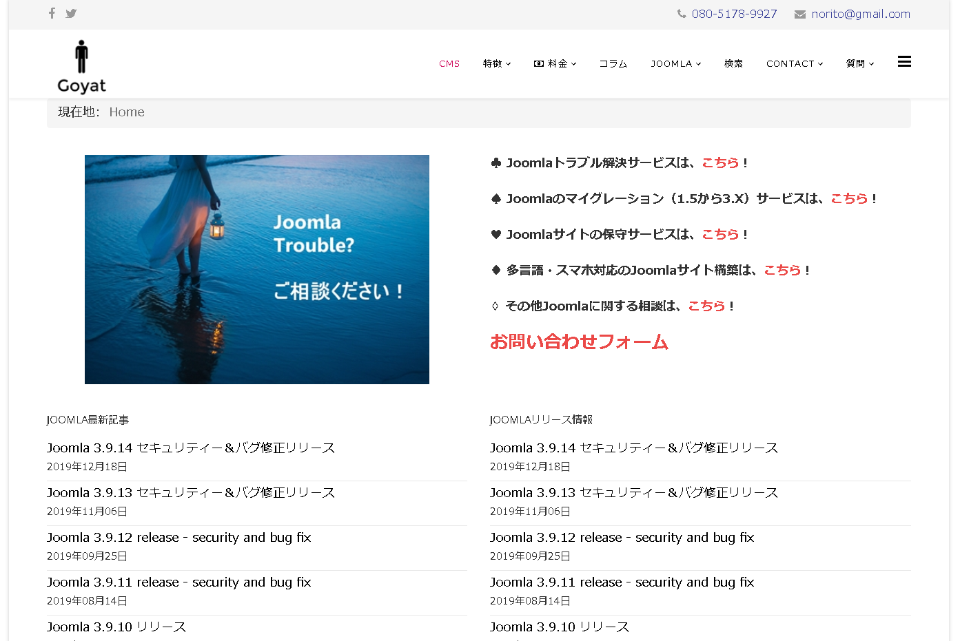 ゴヤット合同会社のゴヤット合同会社サービス