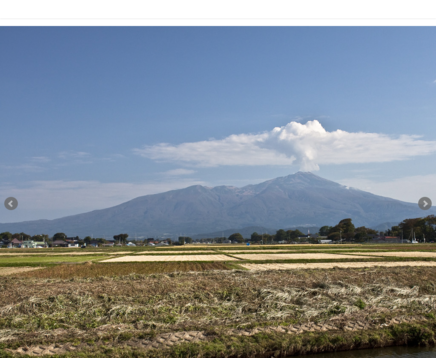 安島秀樹税理士事務所の安島秀樹税理士事務所サービス
