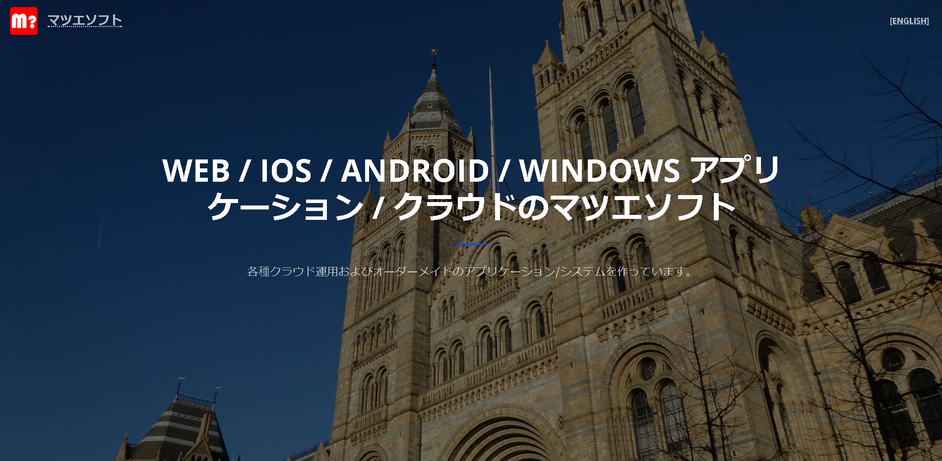 マツエソフト株式会社のマツエソフトサービス