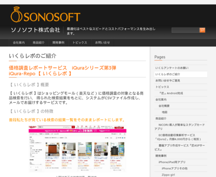 ソノソフト株式会社のソノソフト株式会社サービス