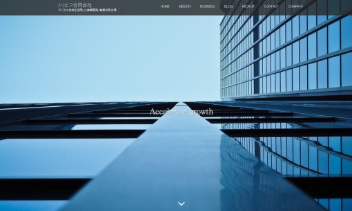 トリビス合同会社のコンサルティングサービスのホームページ画像