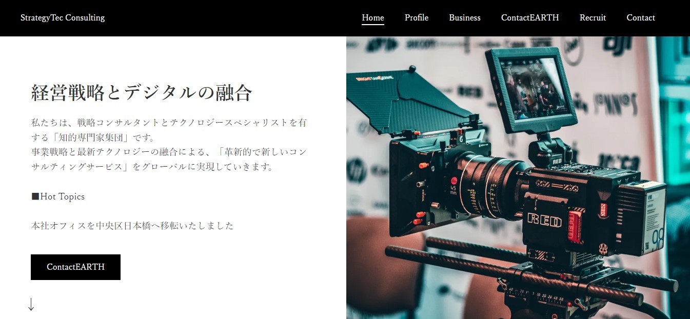 株式会社ストラテジーテック・コンサルティングの株式会社ストラテジーテック・コンサルティングサービス