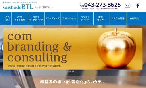 株式会社 翠松堂BTLのSEO対策サービスのホームページ画像
