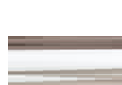 アイリス株式会社のアイリス株式会社サービス