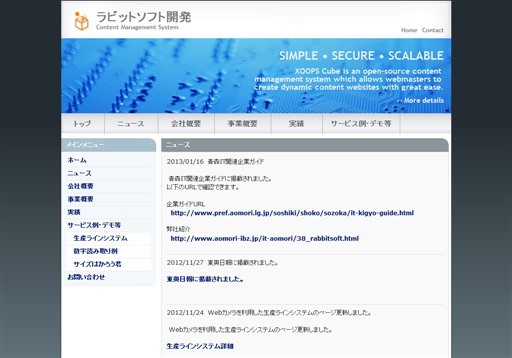 ラビットソフト開発のラビットソフト開発サービス