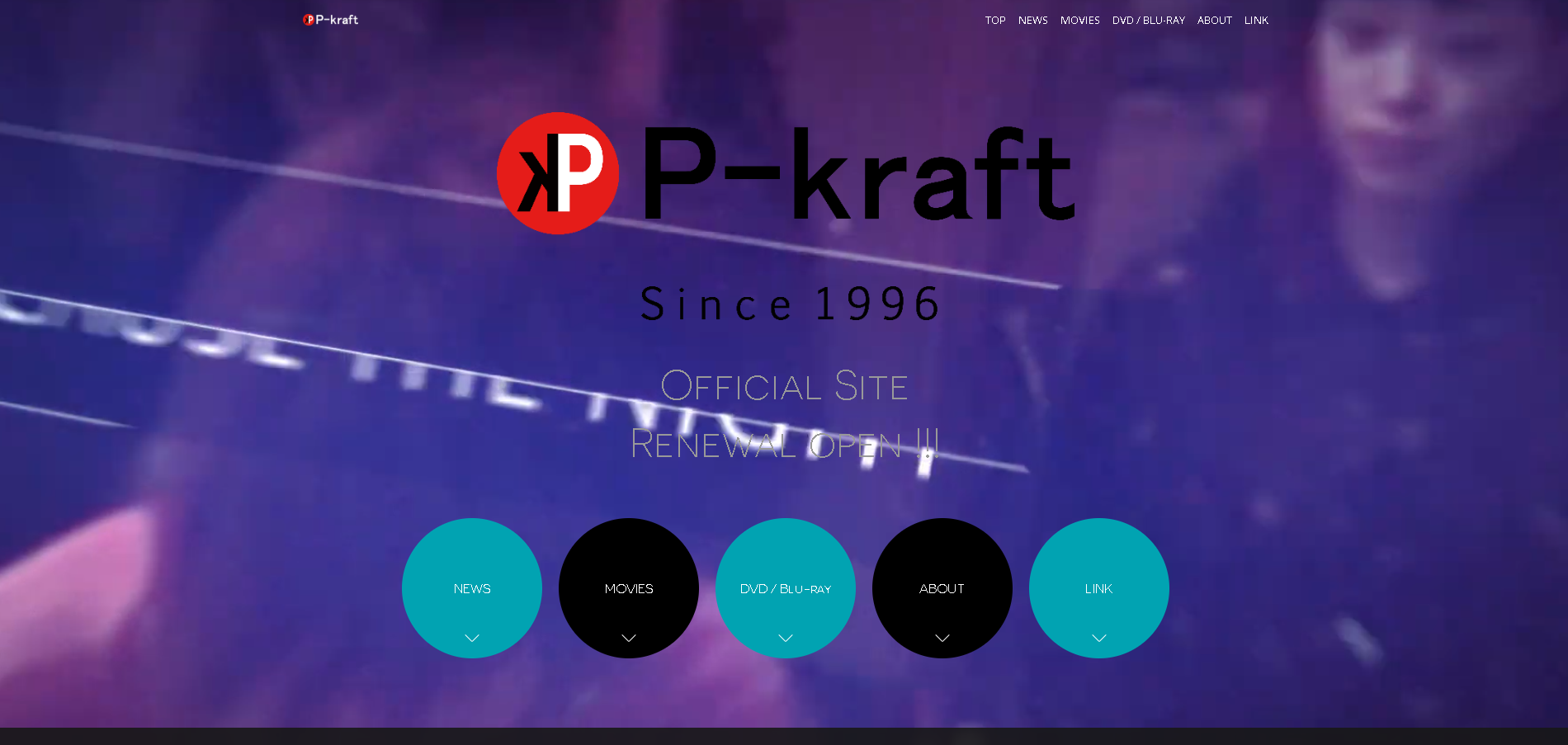 P-kraftのP-kraftサービス