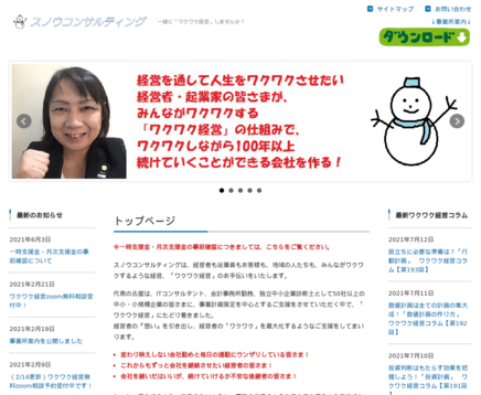 スノウコンサルティングのスノウコンサルティングサービス