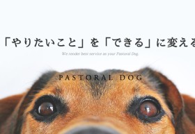 Pastoral Dog