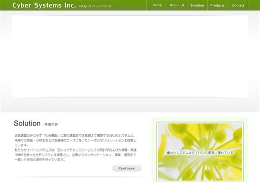 株式会社サイバーシステムズの株式会社サイバーシステムズサービス