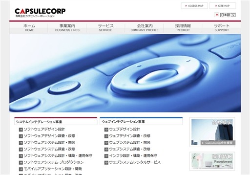 有限会社CAPSULECORPの有限会社CAPSULECORPサービス