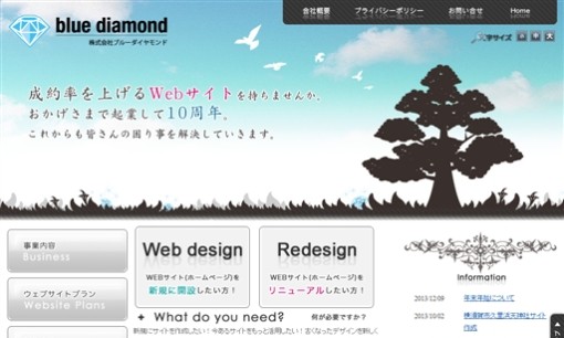 株式会社ブルーダイヤモンドのホームページ制作サービスのホームページ画像