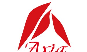 株式会社アクシアのホームページ制作サービスのホームページ画像