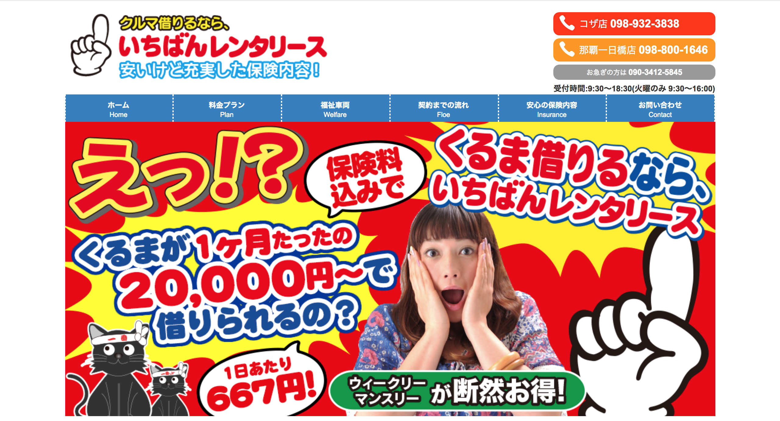 いちばんレンタリース　のいちばんレンタリースサービス