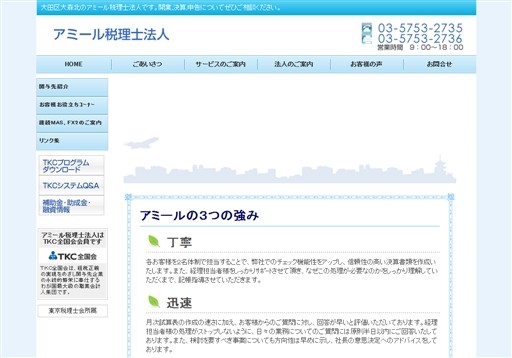 アミール税理士法人のアミール税理士法人サービス