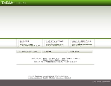 株式会社トップエッジ・コンサルティングファームの株式会社トップエッジ・コンサルティングファームサービス