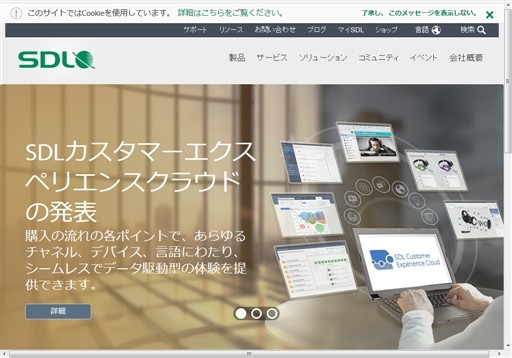 SDLジャパン株式会社のSDLジャパンサービス