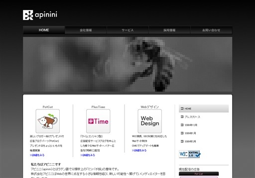 株式会社アピニニのアピニニサービス