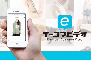 株式会社テリトリーの株式会社テリトリーサービス