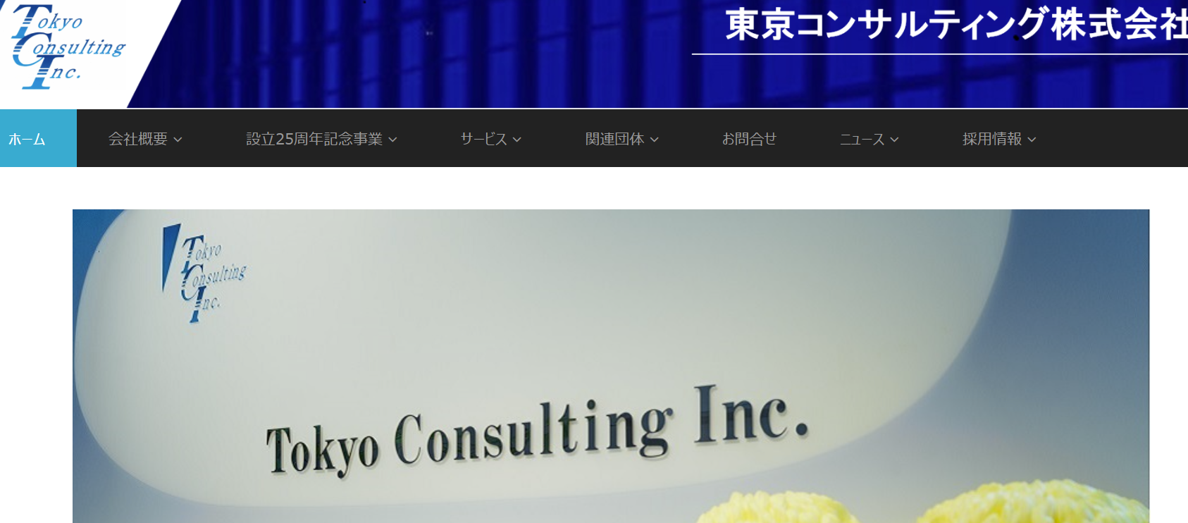 東京コンサルティング株式会社の東京コンサルティング株式会社サービス