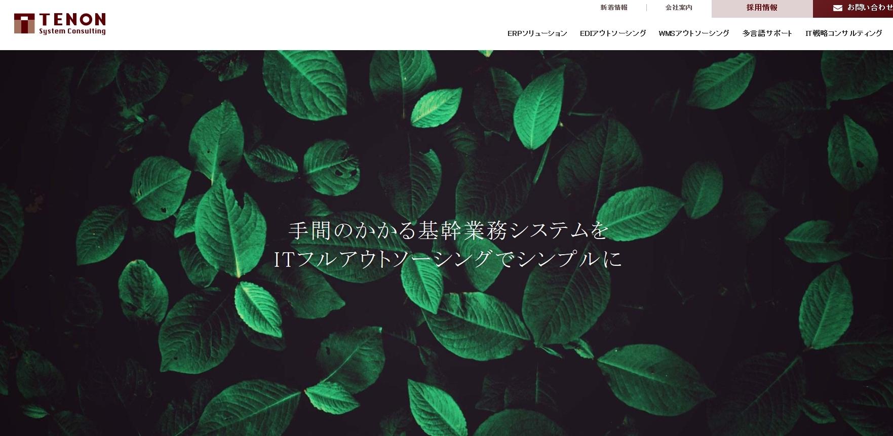 テノン・システムコンサルティング株式会社のコンサルティングサービスのホームページ画像