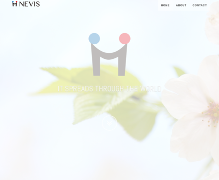 株式会社NEVISのNEVISサービス