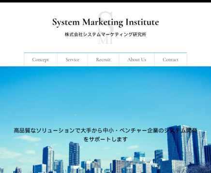 株式会社システムマーケティング研究所の株式会社システムマーケティング研究所サービス