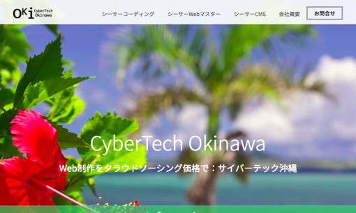 合同会社サイバーテック沖縄のSEO対策サービスのホームページ画像