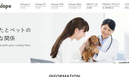 株式会社ハロペのホームページ制作サービスのホームページ画像