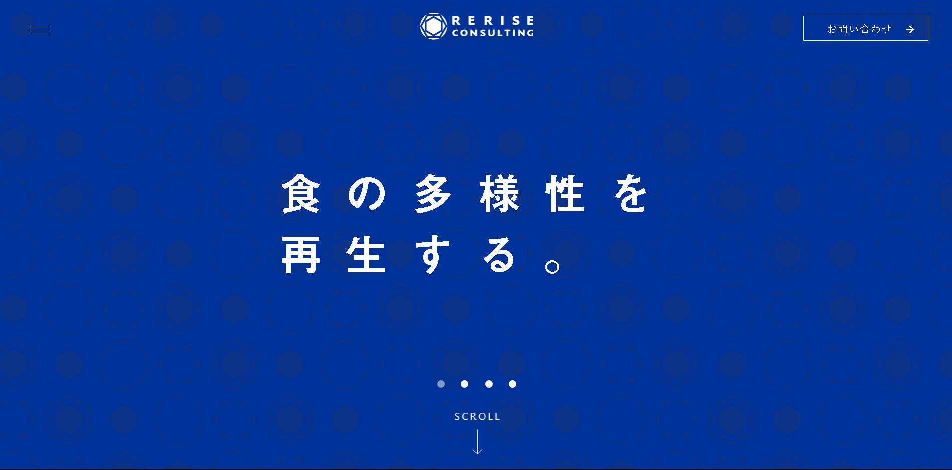 リライズコンサルティング株式会社のリライズコンサルティング株式会社サービス