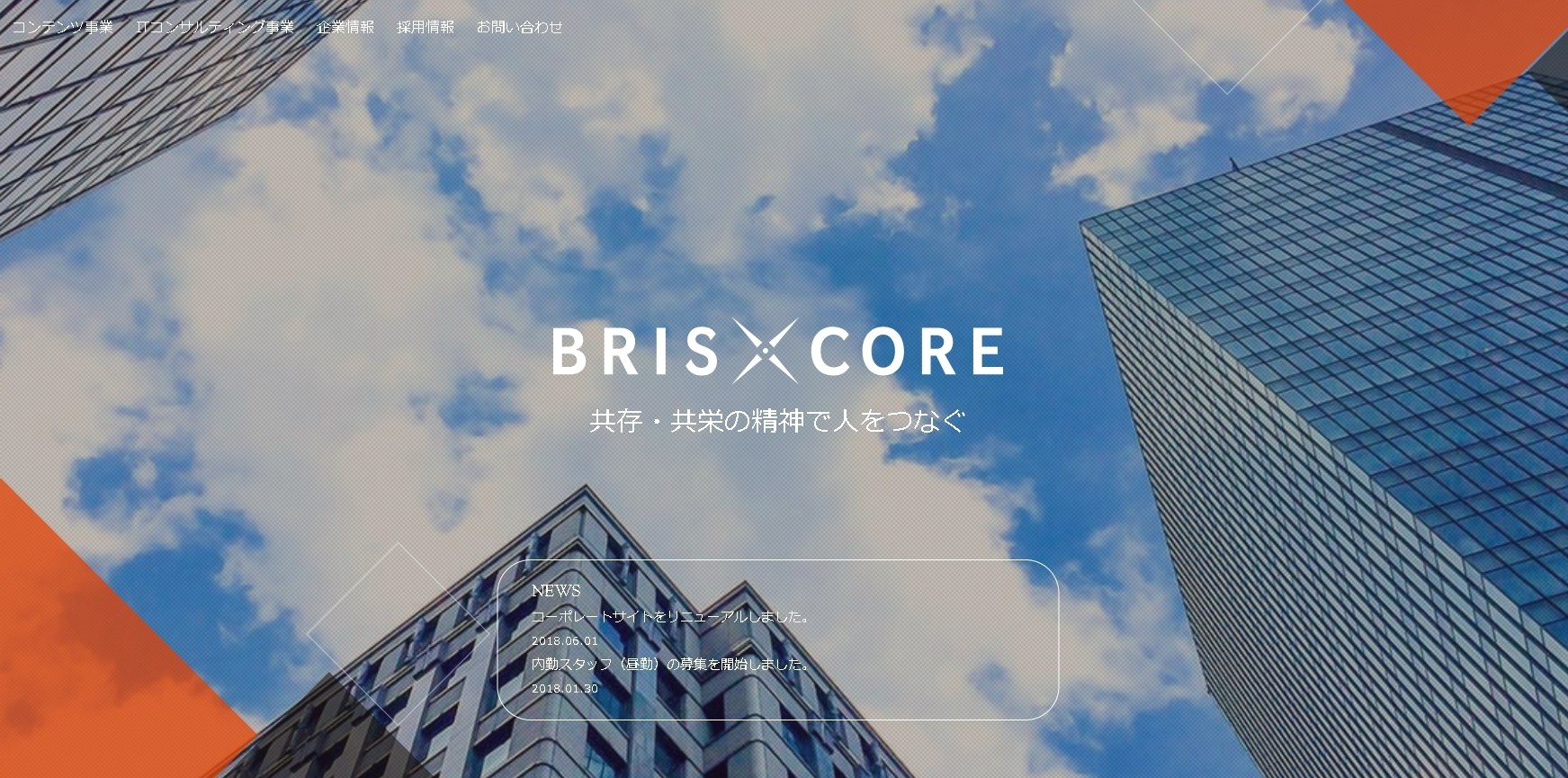 株式会社 BRISXCOREの株式会社 BRISXCOREサービス