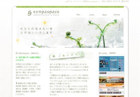 synpaspace