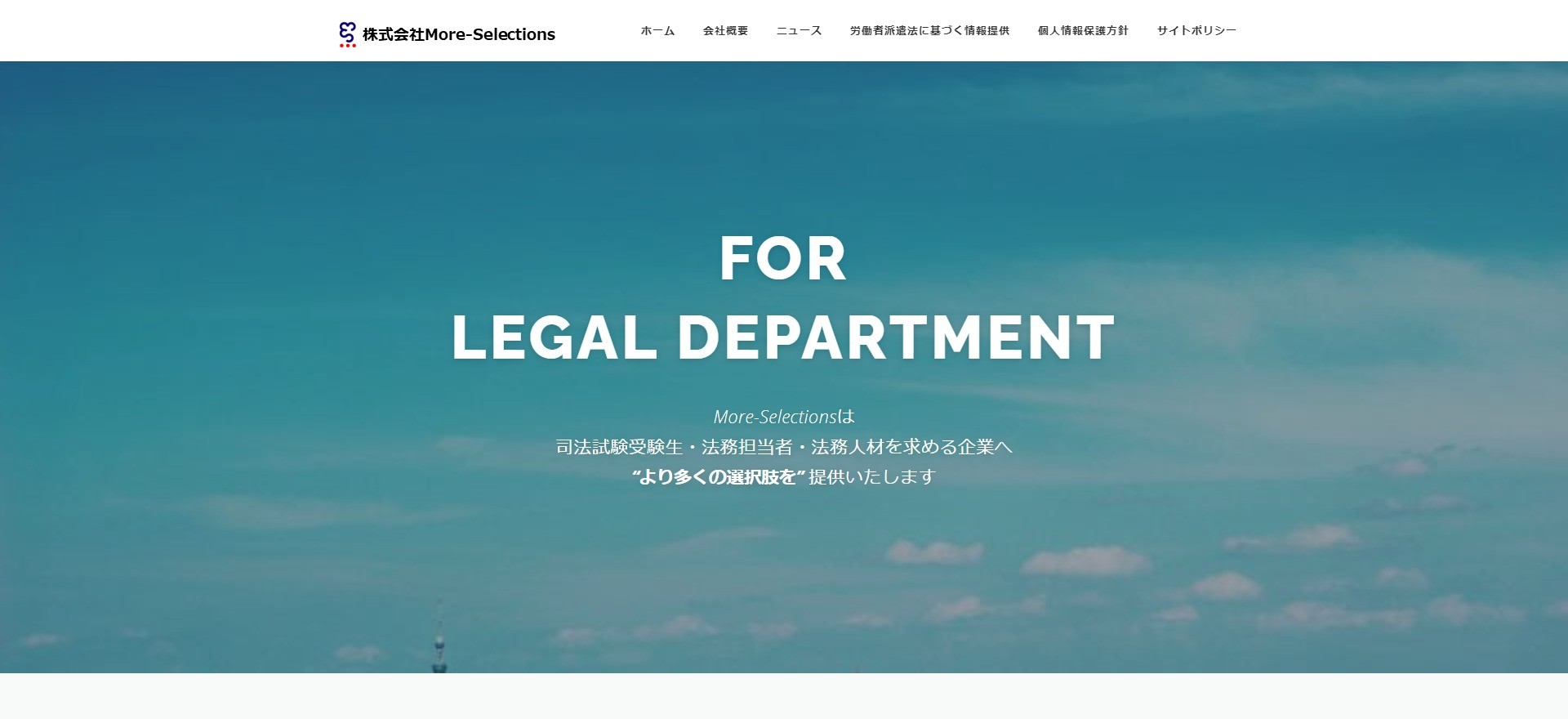 株式会社More-Selectionsの株式会社More-Selectionsサービス