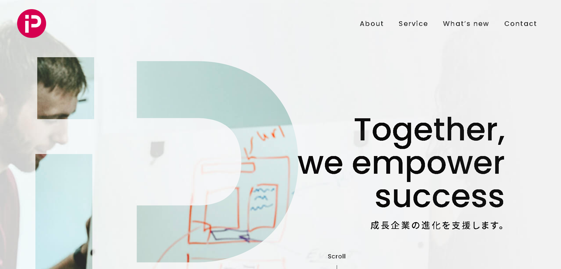 PPBインターナショナル株式会社のPPBインターナショナル株式会社サービス