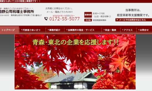 池野公司税理士事務所の税理士サービスのホームページ画像