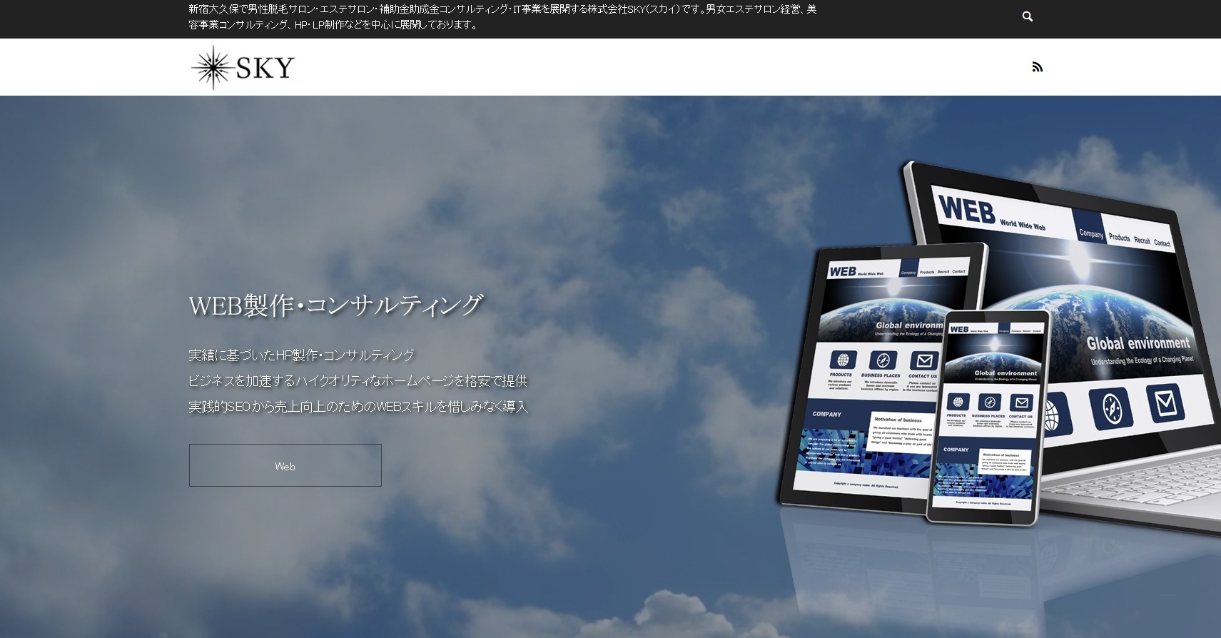 株式会社SKYのコンサルティングサービスのホームページ画像
