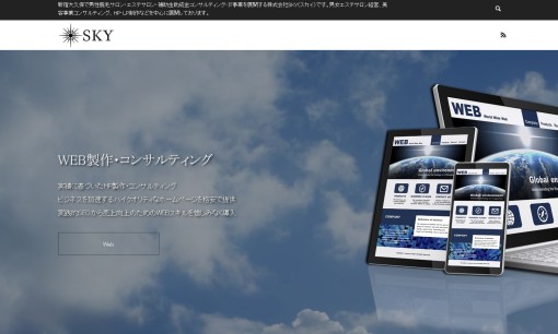 株式会社SKYのコンサルティングサービスのホームページ画像