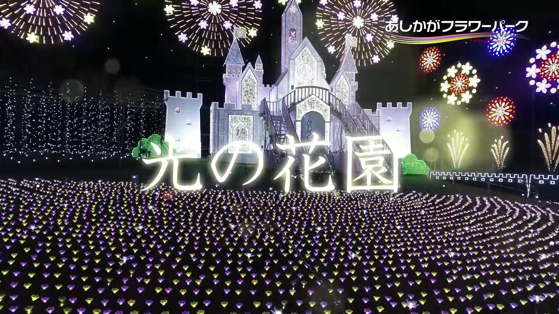 足利フラワーリゾート様　「2019イルミネーション告知」編