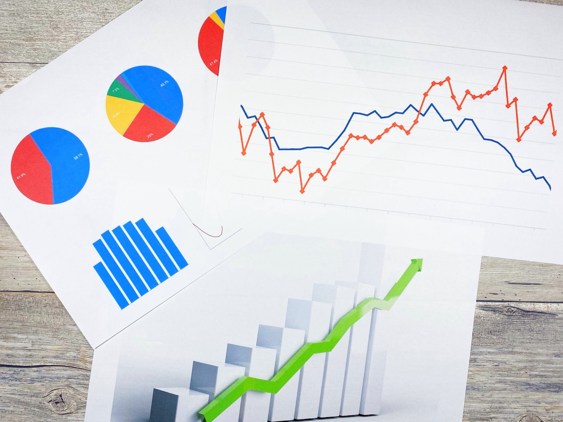 ペットショップサイトのSEOコンサルティング・コンテンツ施策事例