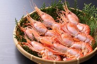 漁業組合支所の公式ホームページ