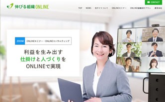 フルオリジナルプラン（人事コンサル業）