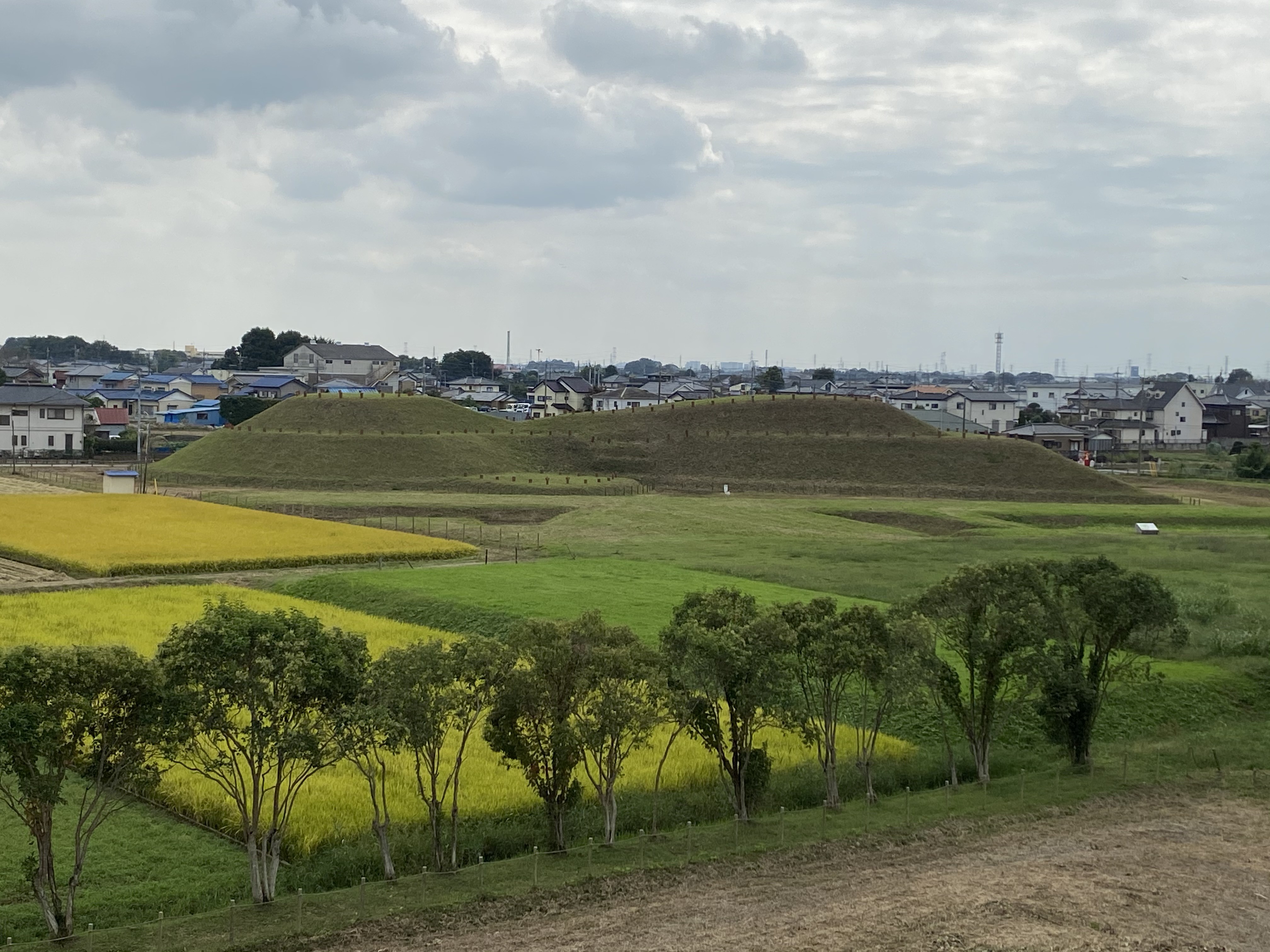 新規事業立上げに伴う労働保険・社会保険等の各種手続対応