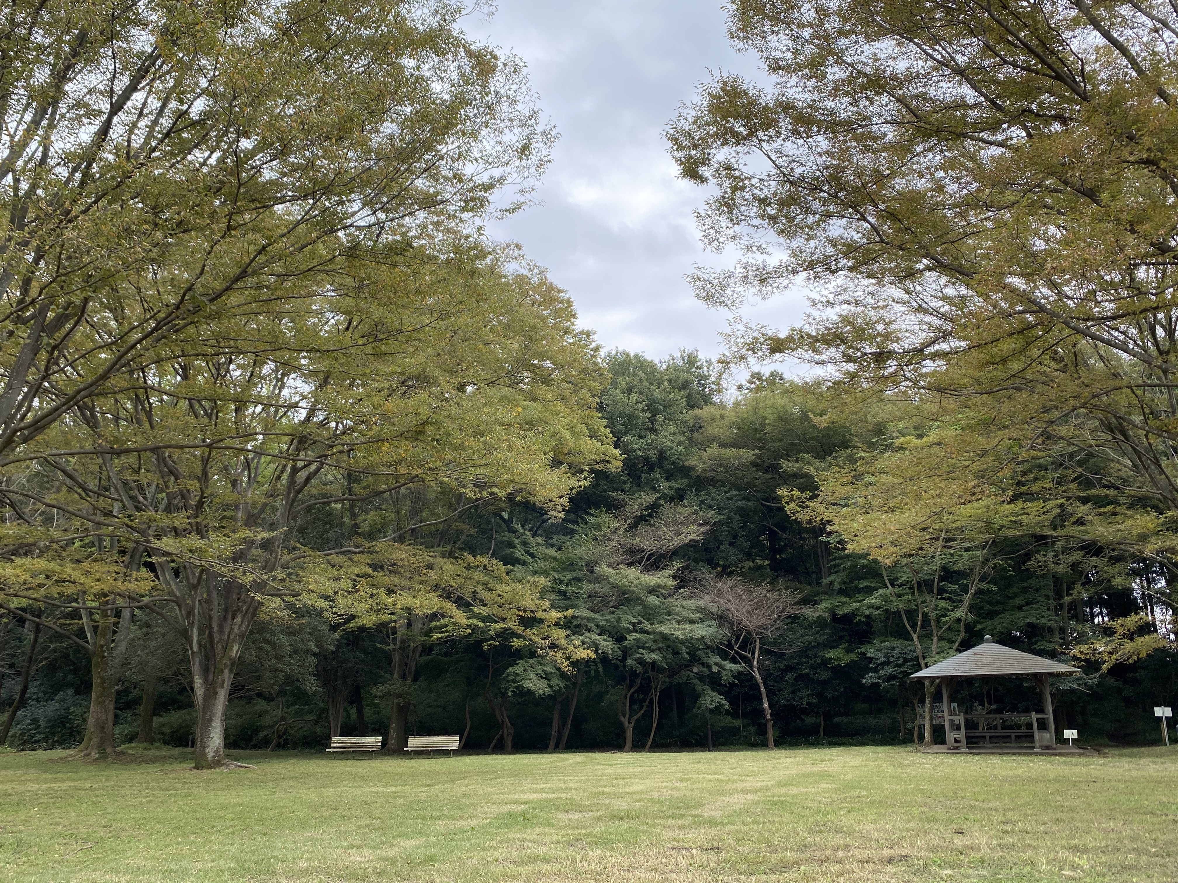 シフト管理に関するWEB記事の執筆