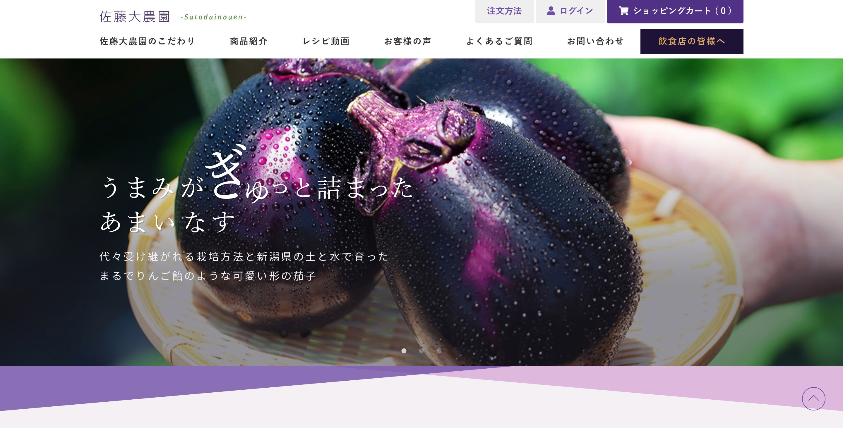 佐藤大農園　コーポレートサイト