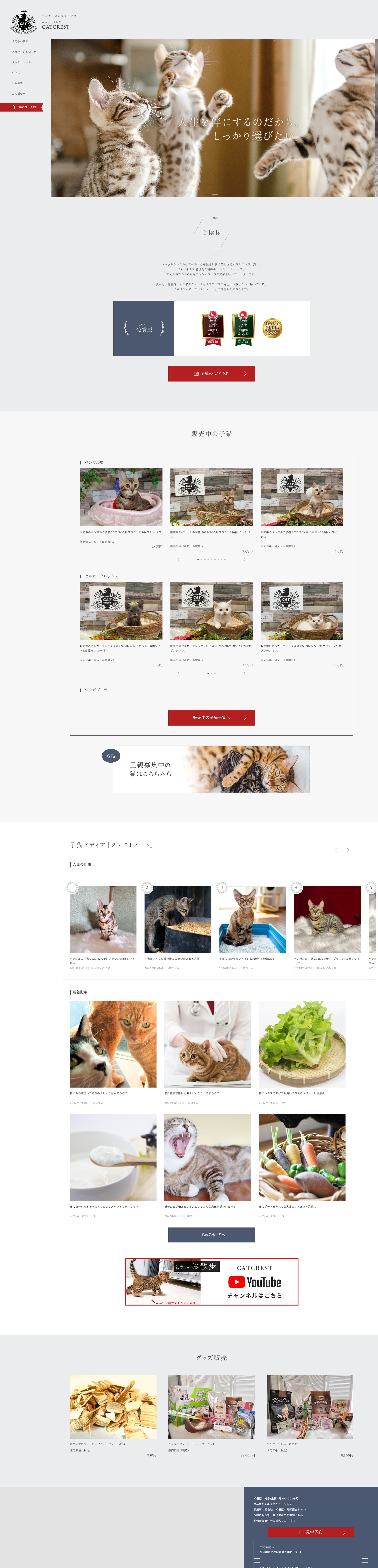 メディアサイト、デザインリニューアル