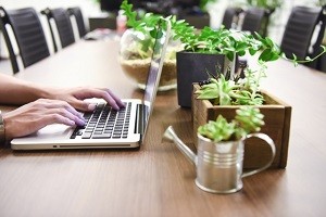 Web開発業5名：会社設立に伴う社会保険新規適用