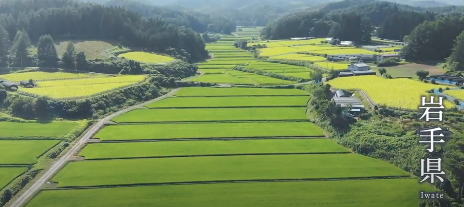 ドローン映像（プロモーション）