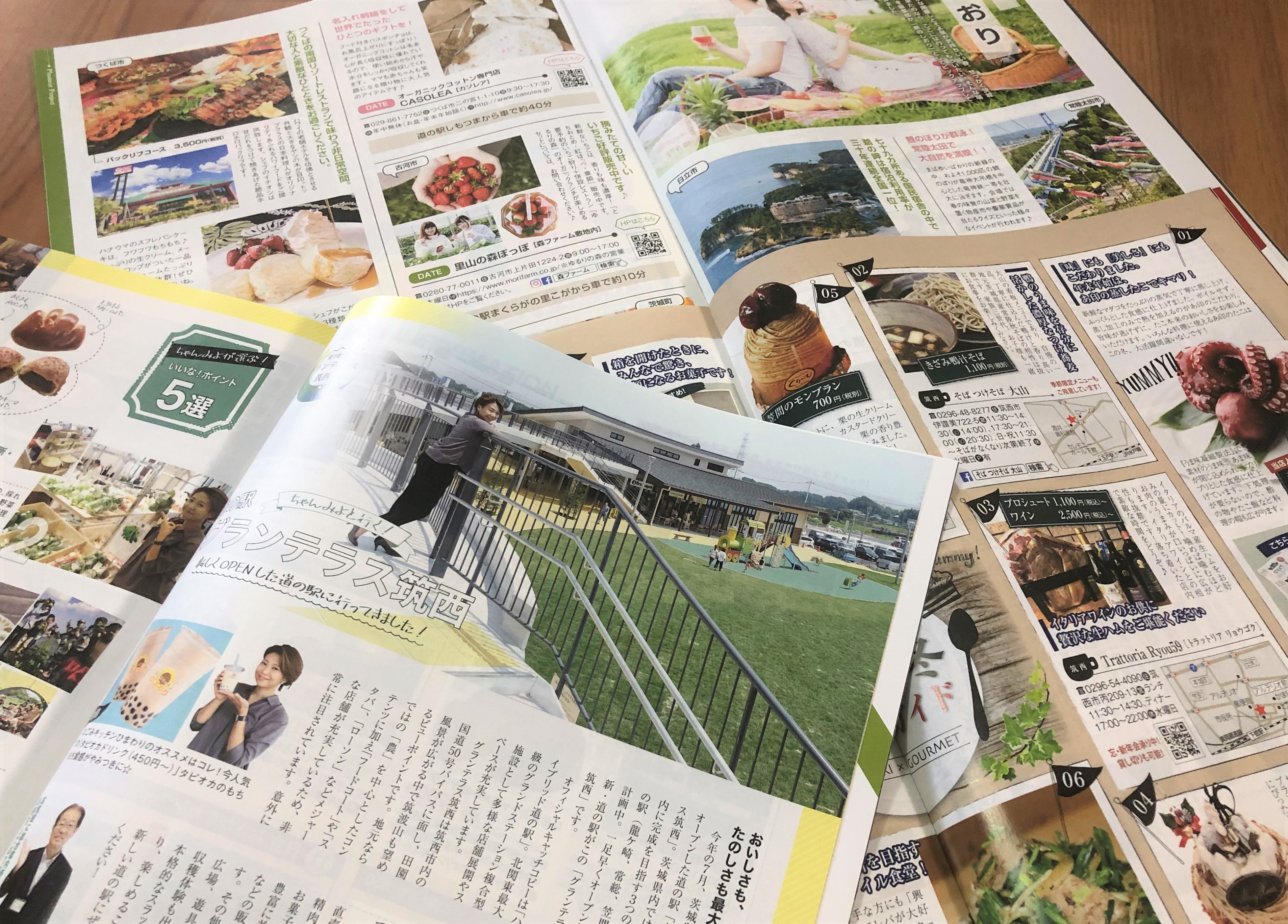 茨城県道の駅フリーペーパー制作