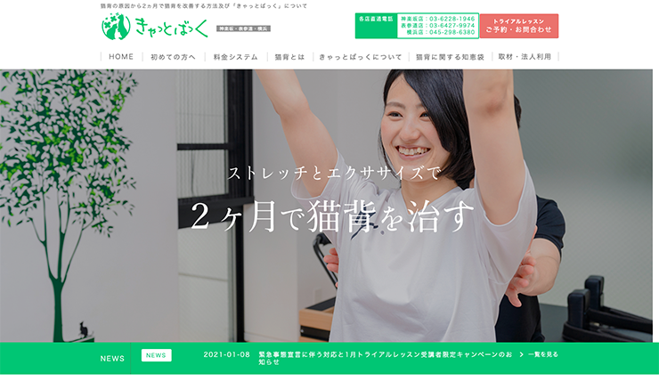 きゃっとばっく