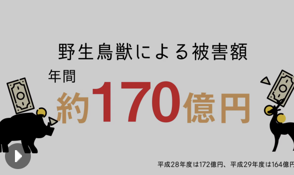 【公官庁】ジビエ啓蒙映像