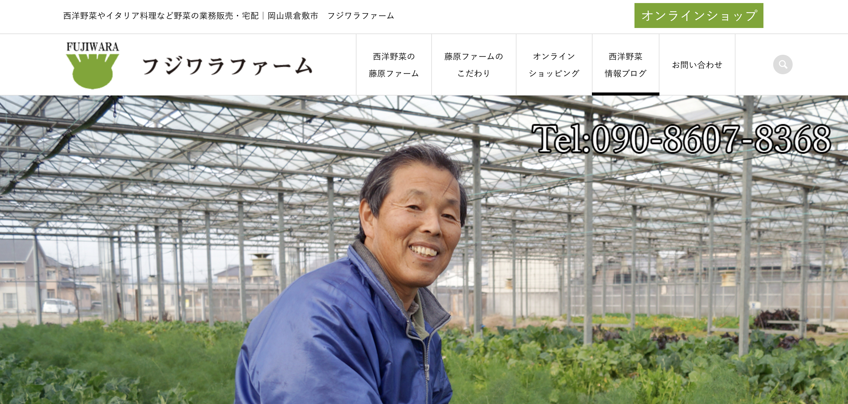 岡山県西洋野菜のフジワラファーム様